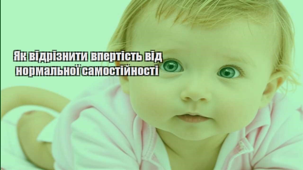 Як відрізнити впертість від нормальної самостійності