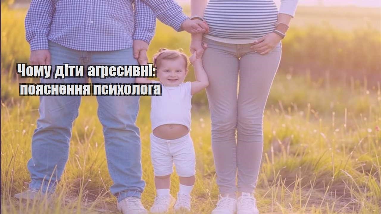 chomu dity agresyvni poyasnennya psyhologa