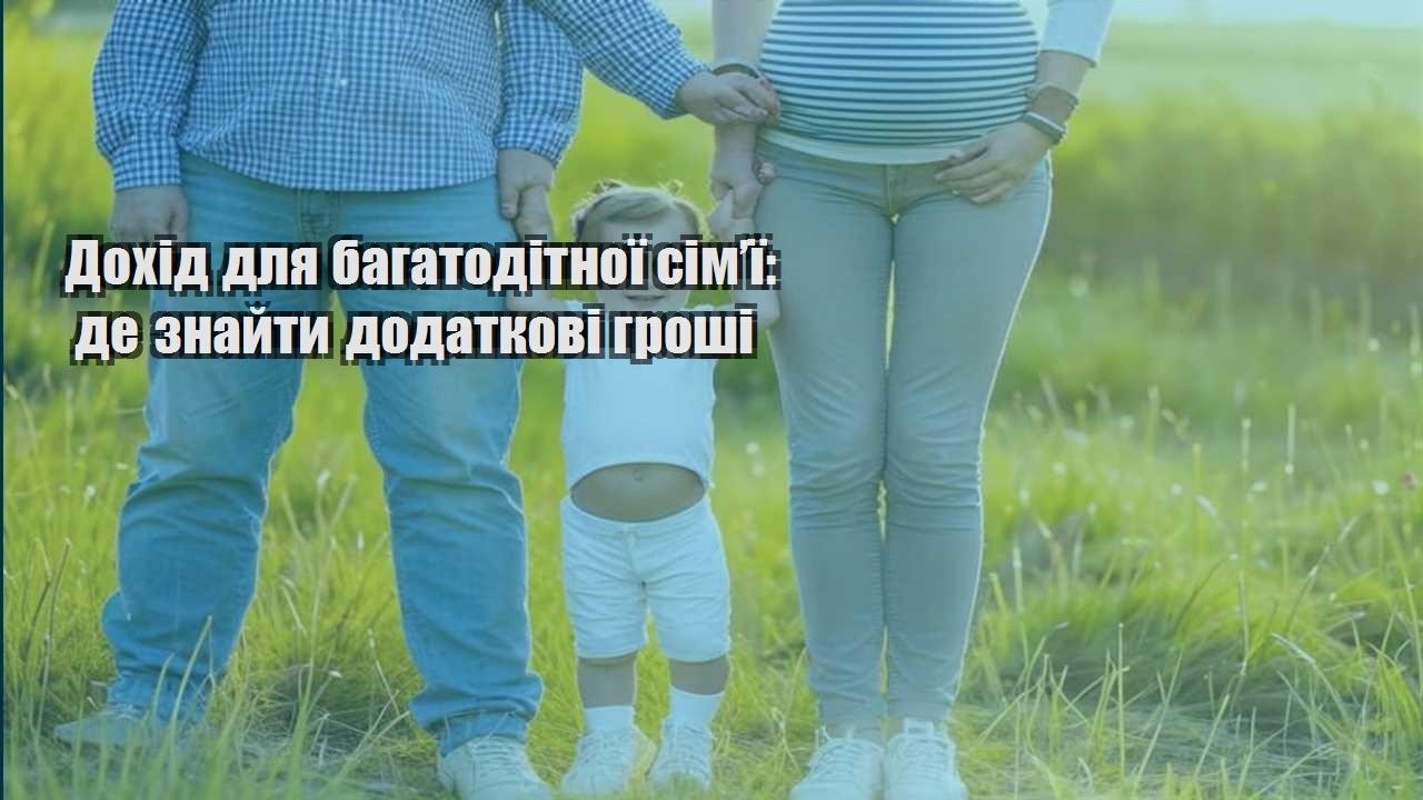 Дохід для багатодітної сім’ї: де знайти додаткові гроші